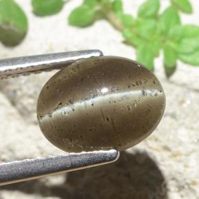 2.60캐럿 천연 미디엄 브라운 캣츠아이 스카폴라이트, 타원형 컷, 투명한