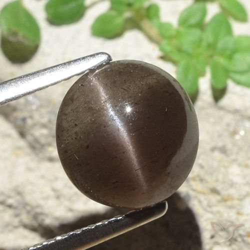 3.45ct 자연스러운 엄버 브라운 캣츠아이 스카폴라이트, 둥근, 투명한