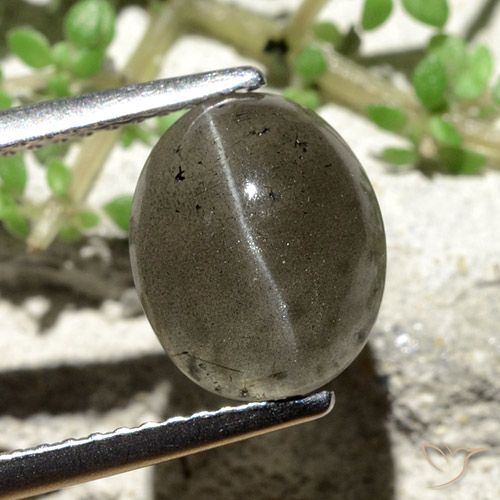 3.81ct 자연스러운 짙은 회색 캣츠아이 스카폴라이트, 타원형, 투명한