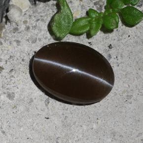 2.03캐럿 천연 갈색 캣츠아이 스카폴라이트, 타원형 컷, 투명한