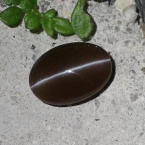 2.03캐럿 천연 갈색 캣츠아이 스카폴라이트, 타원형 컷, 투명한