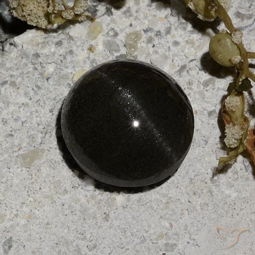 2.12ct 자연스러운 검은색 캣츠아이 스카폴라이트, 둥근, 투명한