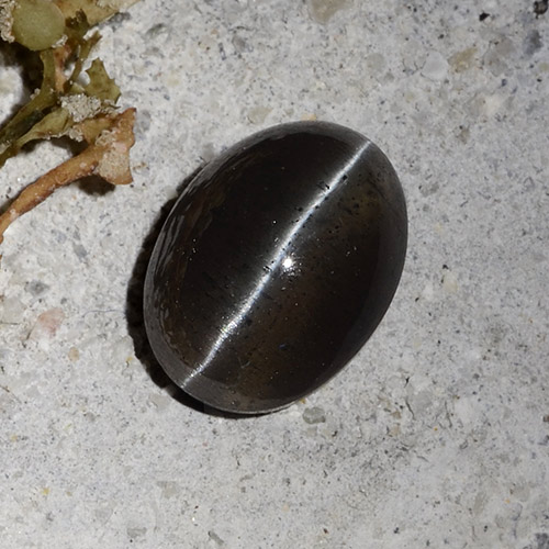 2.30캐럿 천연 검은색 캣츠아이 스카폴라이트, 타원형 컷, 투명한