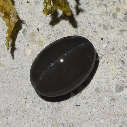 1.48ct 자연스러운 검은색 캣츠아이 스카폴라이트, 타원형, 투명한