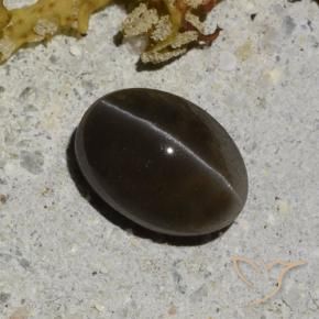 1.35캐럿 천연 웜 블랙 캣츠아이 스카폴라이트, 타원형 컷, 투명한