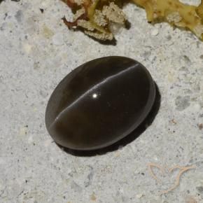 1.35캐럿 천연 웜 블랙 캣츠아이 스카폴라이트, 타원형 컷, 투명한