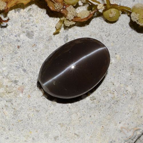 1.81ct 자연스러운 어두운 갈색 캣츠아이 스카폴라이트, 타원형, 투명한