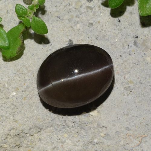 2.43ct 자연스러운 초콜릿 브라운 캣츠아이 스카폴라이트, 타원형, 투명한