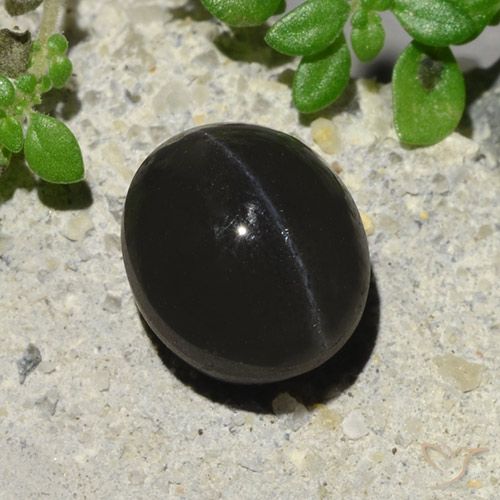 2.94ct 자연스러운 검은색 캣츠아이 스카폴라이트, 타원형, 투명한
