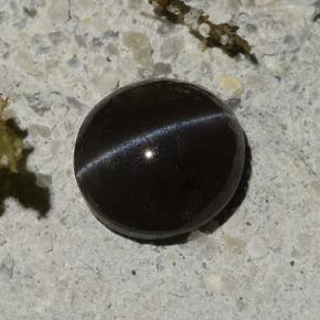 1.14캐럿 천연 검정색 Cat's Eye Scapolite, 타원형 컷, 6.5×6 mm, 투명한
