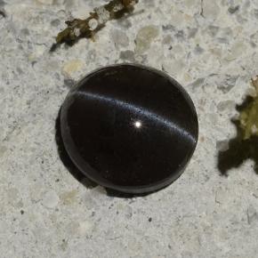 1.14캐럿 천연 검정색 Cat's Eye Scapolite, 타원형 컷, 6.5×6 mm, 투명한