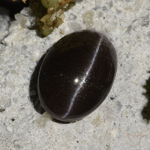 1.47캐럿 천연 웜 블랙 Cat's Eye Scapolite, 타원형 컷, 7.9×5.6 mm, 투명한