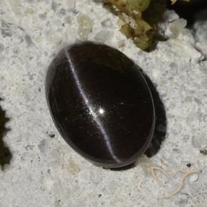 1.47캐럿 천연 웜 블랙 Cat's Eye Scapolite, 타원형 컷, 7.9×5.6 mm, 투명한
