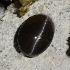 1.47캐럿 천연 웜 블랙 Cat's Eye Scapolite, 타원형 컷, 7.9×5.6 mm, 투명한