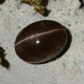 2.44캐럿 천연 다크 브라운 Cat's Eye Scapolite, 타원형 컷, 9×6.6 mm, 투명한