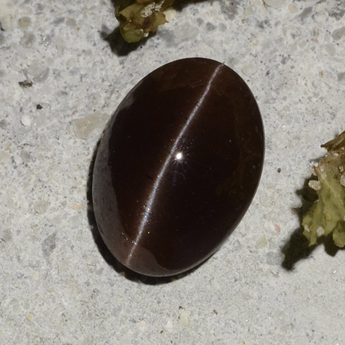 2.16캐럿 천연 다크 브라운 Cat's Eye Scapolite, 타원형 컷, 9.2×6.7 mm, 투명한