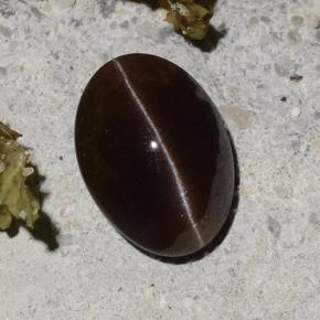 2.16캐럿 천연 다크 브라운 Cat's Eye Scapolite, 타원형 컷, 9.2×6.7 mm, 투명한