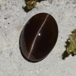 2.16캐럿 천연 다크 브라운 Cat's Eye Scapolite, 타원형 컷, 9.2×6.7 mm, 투명한