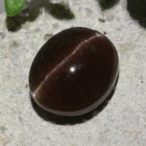 2.04ct 자연스러운 어두운 갈색 캣츠아이 스카폴라이트, 타원형, 투명한