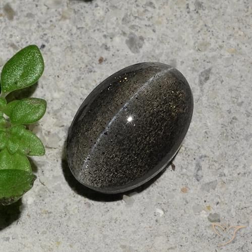 1.48ct 자연스러운 짙은 회색 캣츠아이 스카폴라이트, 타원형, 투명한