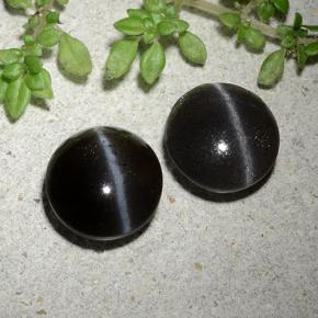 3.46캐럿 천연 검정색 Cat's Eye Scapolite 보석, 라운드 컷, 8.31 mm, 투명한
