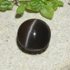 1.96캐럿 천연 갈색 캣츠아이 스카폴라이트, 라운드 컷, 투명한