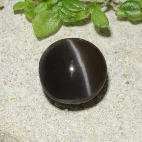 1.96캐럿 천연 갈색 캣츠아이 스카폴라이트, 라운드 컷, 투명한