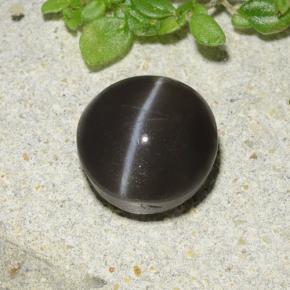 2.49캐럿 천연 검정색 Cat's Eye Scapolite, 라운드 컷, 8.07 mm, 투명한