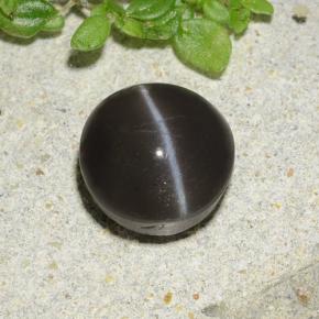 2.49캐럿 천연 검정색 Cat's Eye Scapolite, 라운드 컷, 8.07 mm, 투명한