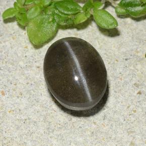 1.46캐럿 천연 검정색 Cat's Eye Scapolite, 타원형 컷, 7.3×5.7 mm, 투명한