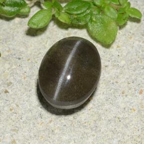 1.46캐럿 천연 검정색 Cat's Eye Scapolite, 타원형 컷, 7.3×5.7 mm, 투명한