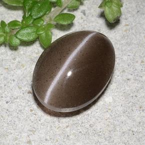 2.20캐럿 천연 브라운 Cat's Eye Scapolite, 타원형 컷, 9.4×7.1 mm, 투명한
