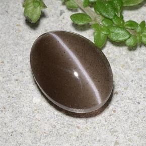 2.20캐럿 천연 브라운 Cat's Eye Scapolite, 타원형 컷, 9.4×7.1 mm, 투명한