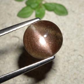 1.76캐럿 천연 붉은빛 브라운 Cat's Eye Scapolite, 라운드 컷, 8.36 mm, 투명한