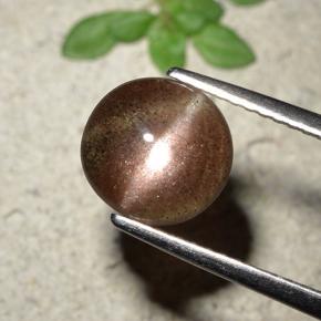 1.76캐럿 천연 붉은빛 브라운 Cat's Eye Scapolite, 라운드 컷, 8.36 mm, 투명한