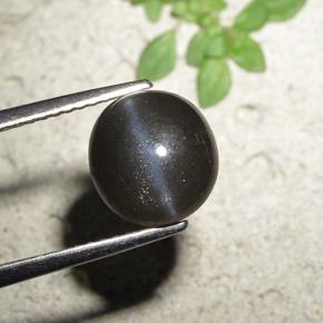 3.23캐럿 천연 검정색 Cat's Eye Scapolite, 라운드 컷, 8.93 mm, 불투명체