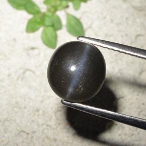 3.23캐럿 천연 검정색 Cat's Eye Scapolite, 라운드 컷, 8.93 mm, 불투명체