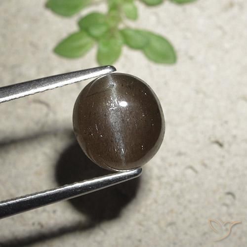 2.56ct 자연스러운 미디엄 브라운 캣츠아이 스카폴라이트, 둥근, 투명한
