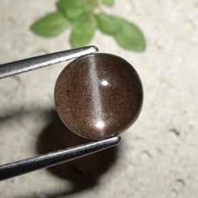 1.80캐럿 천연 브라운 Cat's Eye Scapolite, 라운드 컷, 7.84 mm, 투명한