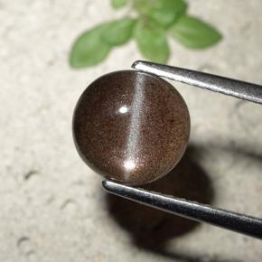 1.80캐럿 천연 브라운 Cat's Eye Scapolite, 라운드 컷, 7.84 mm, 투명한