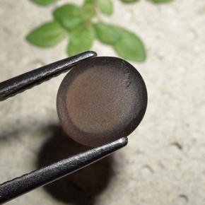 1.80캐럿 천연 브라운 Cat's Eye Scapolite, 라운드 컷, 7.84 mm, 투명한
