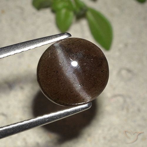 2.01캐럿 천연 초콜릿 브라운 캣츠아이 스카폴라이트, 라운드 컷, 투명한