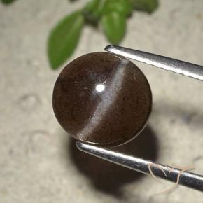 2.01캐럿 천연 초콜릿 브라운 캣츠아이 스카폴라이트, 라운드 컷, 투명한