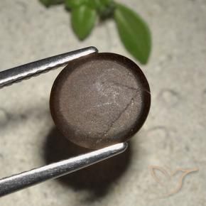 2.01캐럿 천연 초콜릿 브라운 캣츠아이 스카폴라이트, 라운드 컷, 투명한