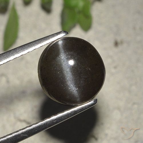 2.72캐럿 천연 검정색 Cat's Eye Scapolite, 라운드 컷, 8.23 mm, 투명한