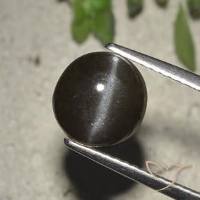 2.72캐럿 천연 검정색 Cat's Eye Scapolite, 라운드 컷, 8.23 mm, 투명한