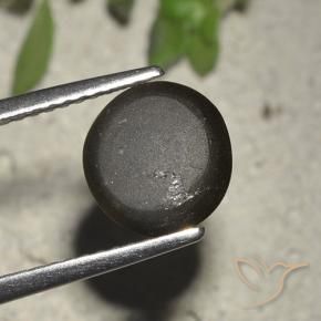 2.72캐럿 천연 검정색 Cat's Eye Scapolite, 라운드 컷, 8.23 mm, 투명한