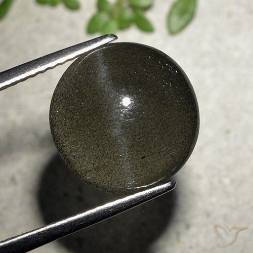 6.50ct 자연스러운 검은색 캣츠아이 스카폴라이트, 둥근, 투명한