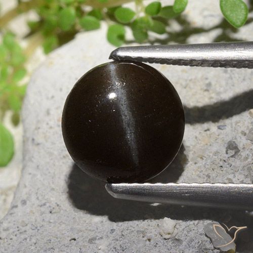 2.55ct 자연스러운 검은색 캣츠아이 스카폴라이트, 둥근, 투명한