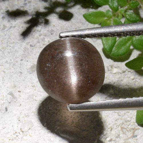 2.76ct 자연스러운 갈색 캣츠아이 스카폴라이트, 둥근, 투명한